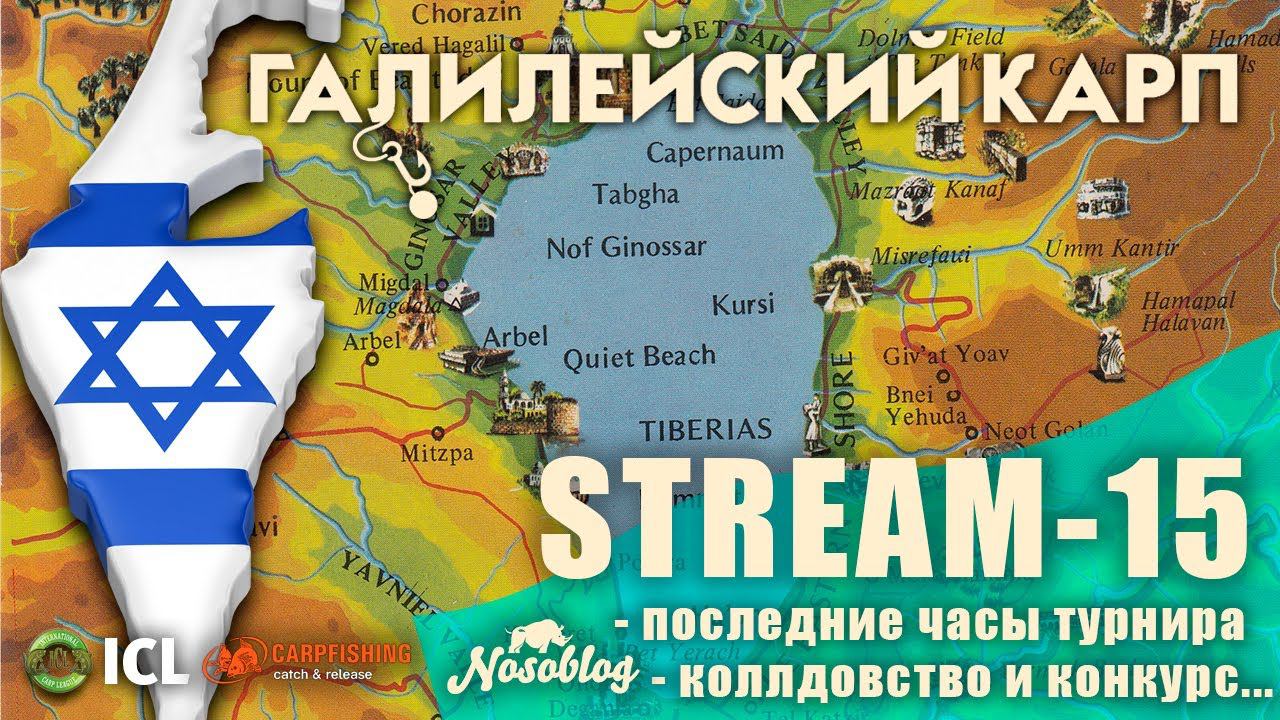 Галилейский карп 2020 (карпфишинг), выпуск 15, финишная прямая