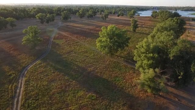 Остров Зеленый, старое русло р. Ахтуба г. Волжский. Осень 2020.