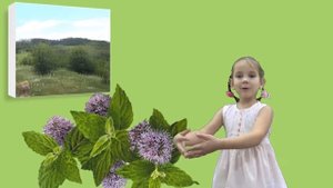 ЧЕМ ПАХНЕТ ЛЕТО?  ВИДЕО-открытка хорошего настроения.