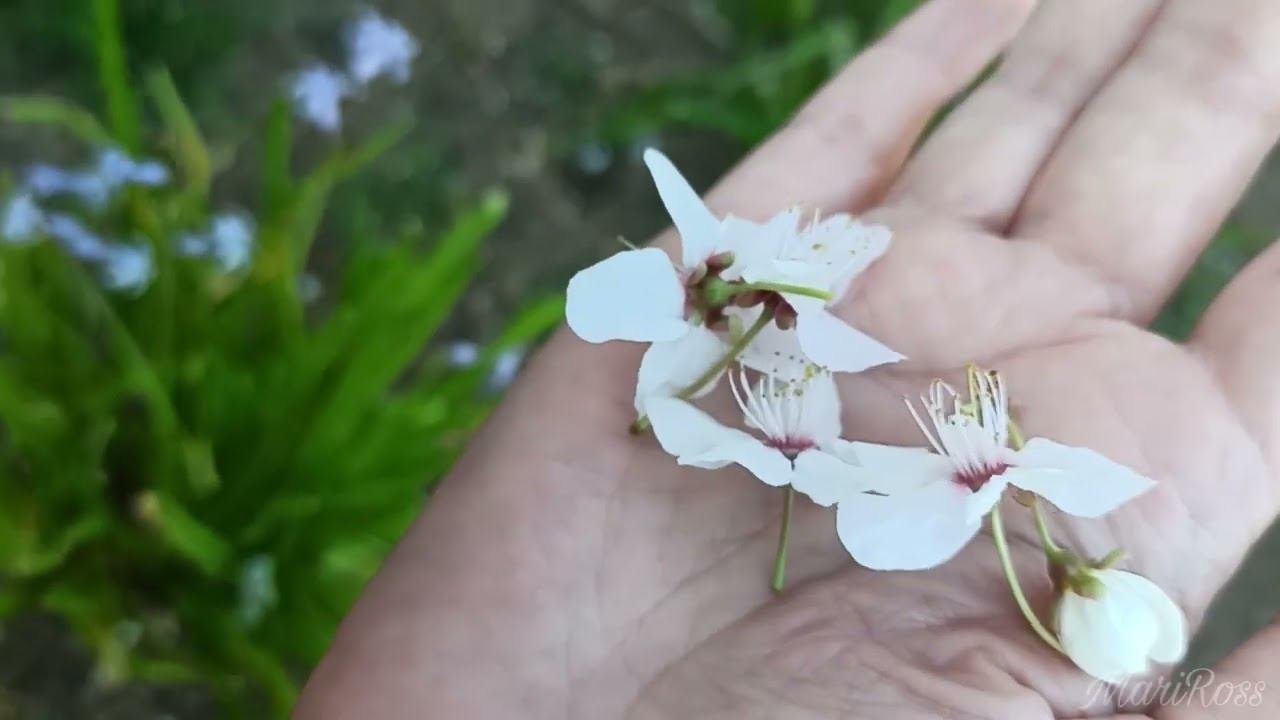 Оттепель