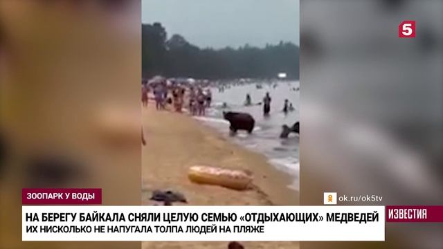 Россияне отдохнули на пляже Байкала вместе с медведями.
