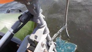 Лайтовый обзор пвх лодки и мотора из бензокосы на 3,5 л.с.