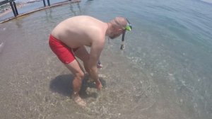 Рыбалка в Турции. Ловлю в отеле. Ядовитый улов. Часть 1