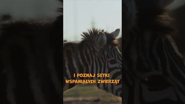 Odwiedź Zoo Borysew! Kup bilety -10% z aplikacją! смотреть онлайн