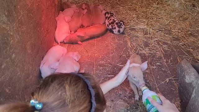 Переехали на ЮГ \ Первый раз попробовала и разочаровалась смотреть онлайн