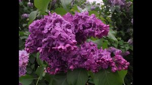 Татьяна Полякова часть 2