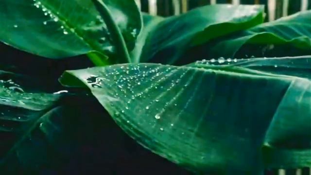 Sad Turkish Violin music (muhtașem yuz yil/великолепный век) смотреть онлайн