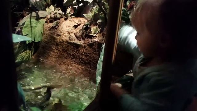 Aquatopia 7/16 смотреть онлайн