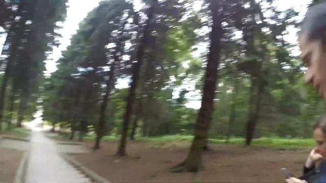 Санкт-Петербург.Петергоф.Петропавловская крепость. 2 часть