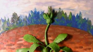 О-дунь-ванчики.mp4