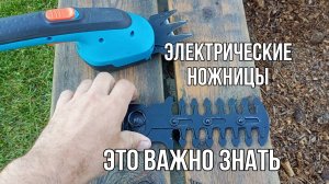 Электрические ножницы для газона. Что важно знать