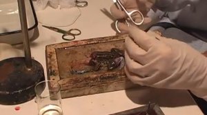 Анализ рефлекторной дуги