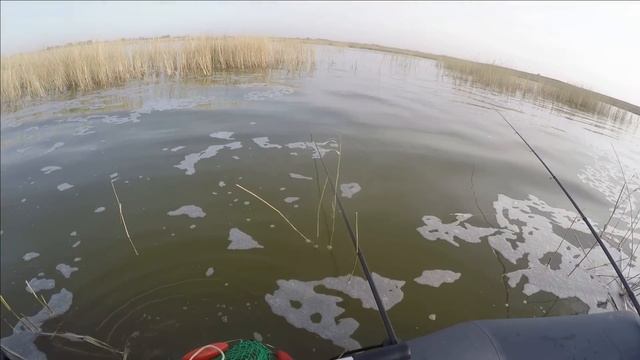 Рыбалка на поплавок. Ловля карася в камыше. Озеро Уелги, 30.04.2023. День 2-й.