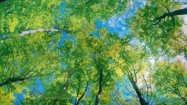 Как назвать мальчика в 2021 году смотреть онлайн