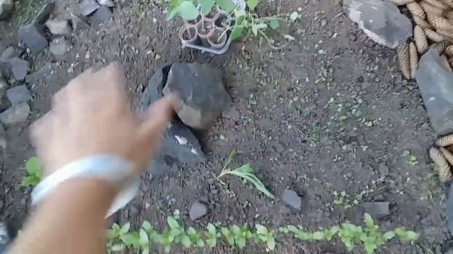 Создание клумбы Шаг за шагом Примеры оформления клумб Ландшафтный дизайн Мій сад
