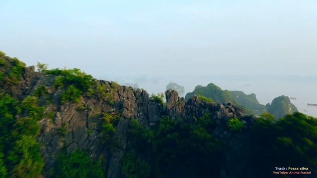 Beautiful relaxing music. Flute sounds. Красивая расслабляющая музыка. Звуки флейты смотреть онлайн