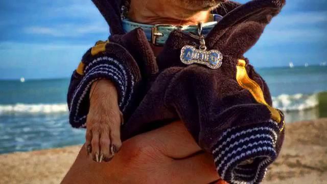 Музыка вместо гудков билайн. Потрясающее видео. Как... смотреть онлайн