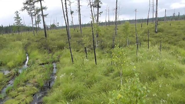 УАЗ на шинах низкого давления (самодельный) смотреть онлайн