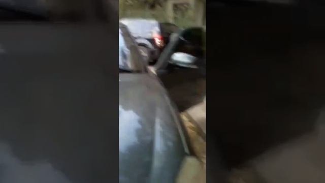 Разбор приоры+музыка