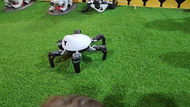 Роботы из Лас-Вегаса, Токио и Москвы | Обзор Фестиваля роботов 2022
