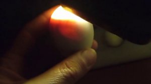 18-ый день инкубации яиц/Последствия отключения света/Живы ли зародыши в яйцах/Инкубатор из коробки