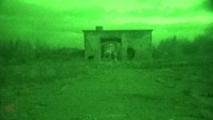 Вспышка выстрела с дульным устройством Alfa Arms Blackout 5,45х39 в ПНВ.