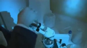 Структура воды, наши слова и мысли