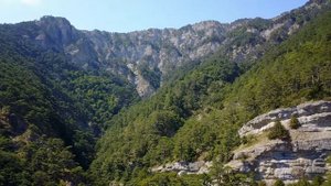 КРАСНАЯ ПЛЕСЕНЬ - ЭЛЕКТРИЧЕСТВО. ПАМЯТИ ВИКТОРА ЦОЯ. НОВАЯ ВЕРСИЯ