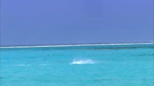 Лучший пляжный отдых в райском месте на острове Бора Бора  / Bora Bora