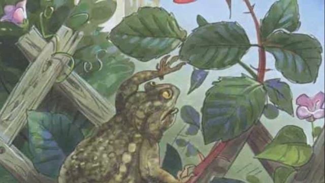 Сказка о жабе и розе. Краткое содержание смотреть онлайн