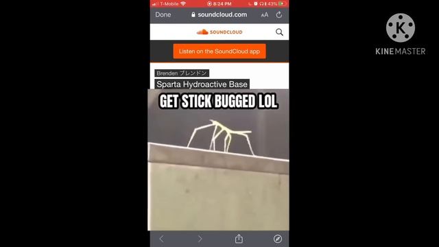 My attempt on get stick bug’d lol with the Sparta hydroactive Base смотреть онлайн