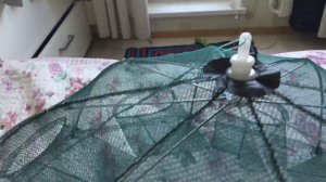 Бракованная раколовка зонтик из Китая