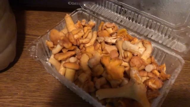 Выращиваем лисички у себя на даче. смотреть онлайн