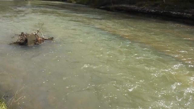 Каверзе - самая чистая вода для нырков смотреть онлайн