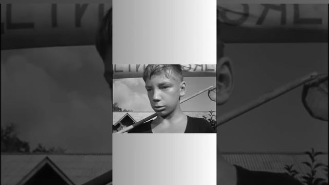 "иди-иди, мальчик, не мешай! Некогда. Мы качество грунтов проверяем"