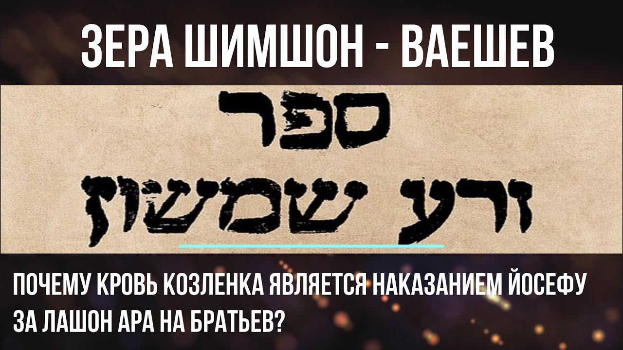 Почему кровь козленка является наказанием Йосефу за лашон ара на братьев? Зера Шимшон Ваешев 5781