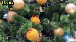 6 января Рождественский Сочельник: что категорически нельзя делать