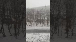 Снегом никого не удивишь... Мурманск 10 мая