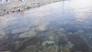 Геленджик пляж Бриз Тонкий мыс