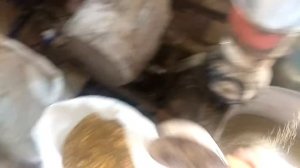 Комбикорм для бройлера финиш 2 часть