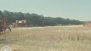 Для тех, кто в поле. Сбор урожая зерновых. Новости. Эфир 20 июля 1980.mp4