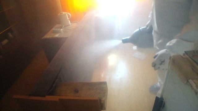 Как вывести клопов в домашних условиях за 1 день без вреда для детей? смотреть онлайн