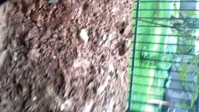 Большой колодец.Колодец получился 44 кольца.