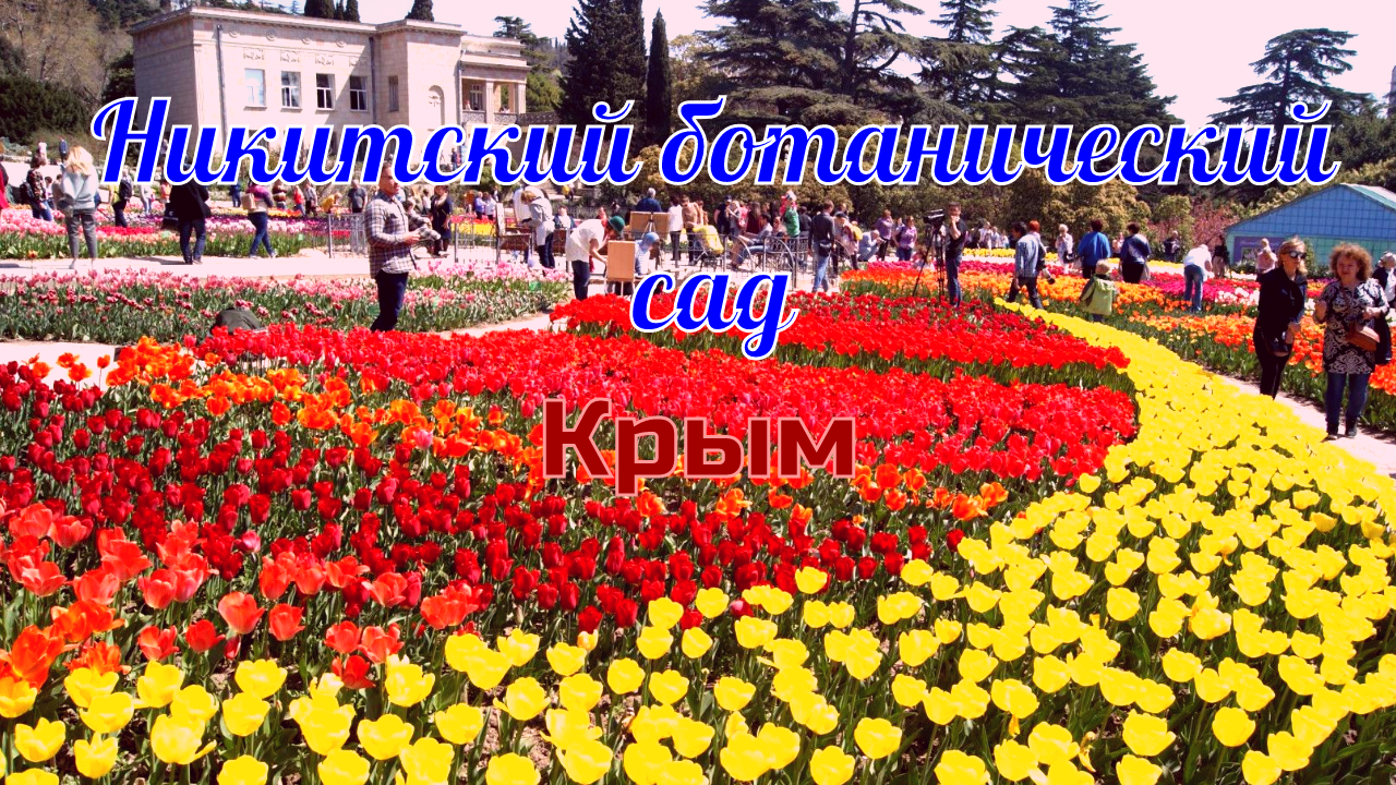 Никитский ботанический сад