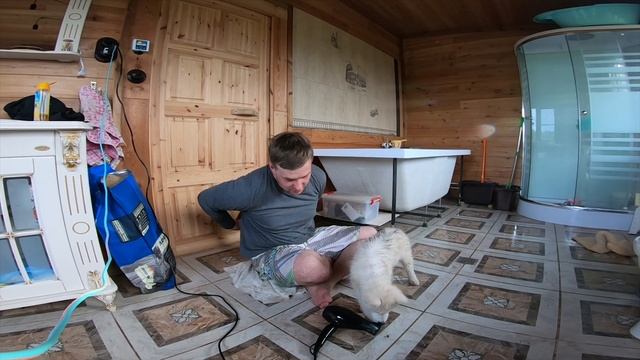 Приучаем собаку к шуму. Сушим собаку правильно. смотреть онлайн