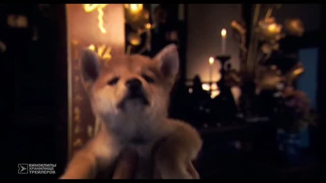 Хатико. Кавер-трейлер смотреть онлайн