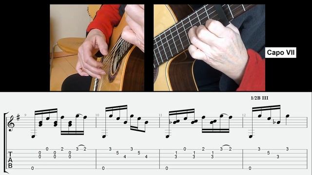 The Aromo Tree (Milonga Pampeana) - unknown composer, with tabs and slices смотреть онлайн