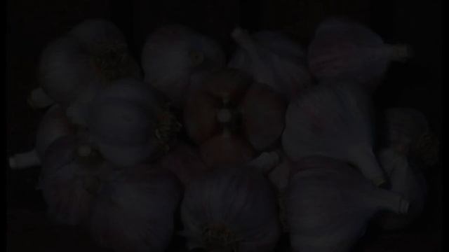 Обзор сорта чеснок "Добрыня" (характеристики, свойства, фото) смотреть онлайн