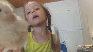 Я показываю способ определения пола 2-х суточных цыплят