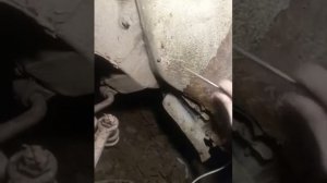 Почему нельзя обрабатывать авто мастикой